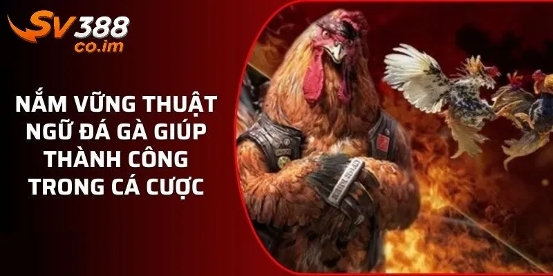 Các thuật ngữ đá gà trong cá cược tại sv388