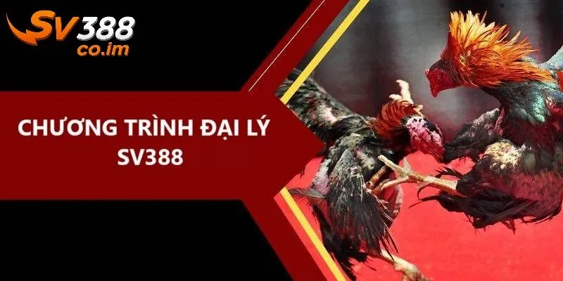 So sánh đại lý SV388 với các nền tảng khác